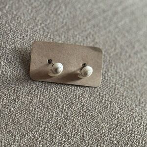 small sea shell earrings